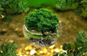 怎樣實施科學的環(huán)保管理？