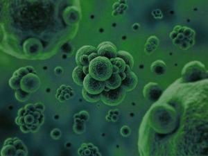 微生物是通過何種方式將廢水中的污染物分解去除掉的？